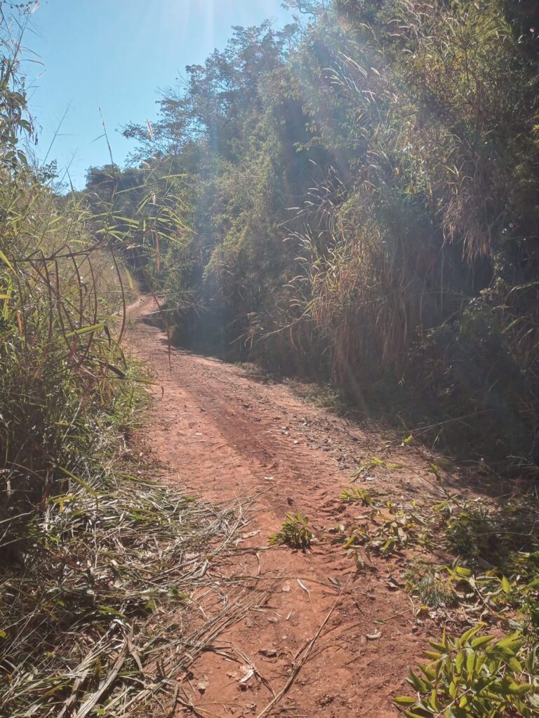 Roçada garante mais segurança e acessibilidade na Estrada do Cantagalo